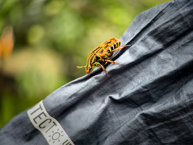 Shot on 75mm Macro Lens